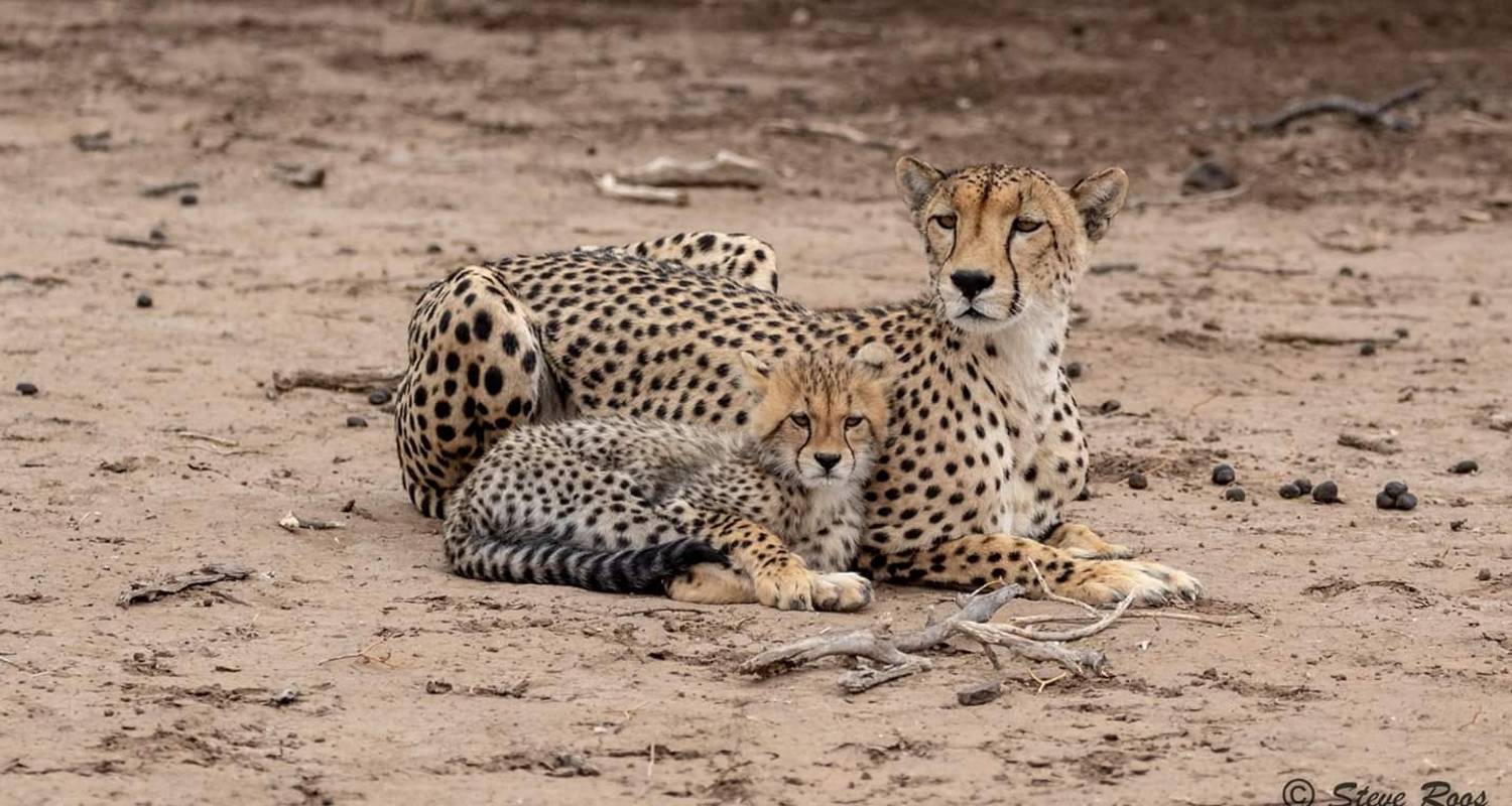 7Days-Tanzania-Camping-Safari